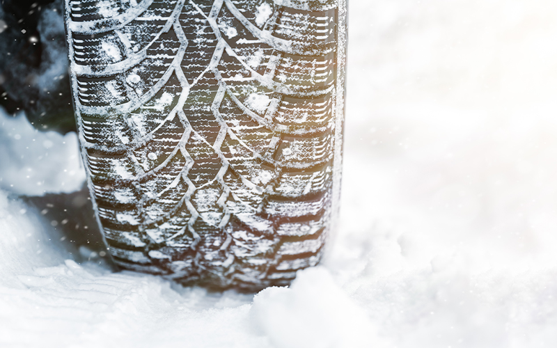 Vans sales snow uk